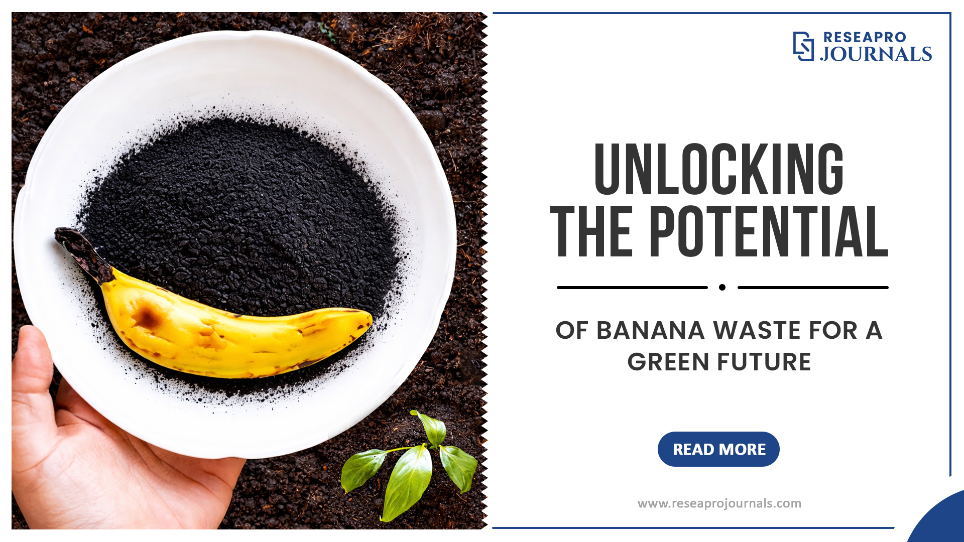 Unlocking the Potential of Banana Waste for a Green Future