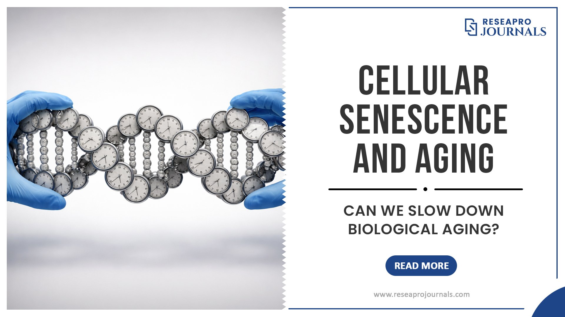 Cellular Senescence and Aging: Can We Slow Down Biological Aging?