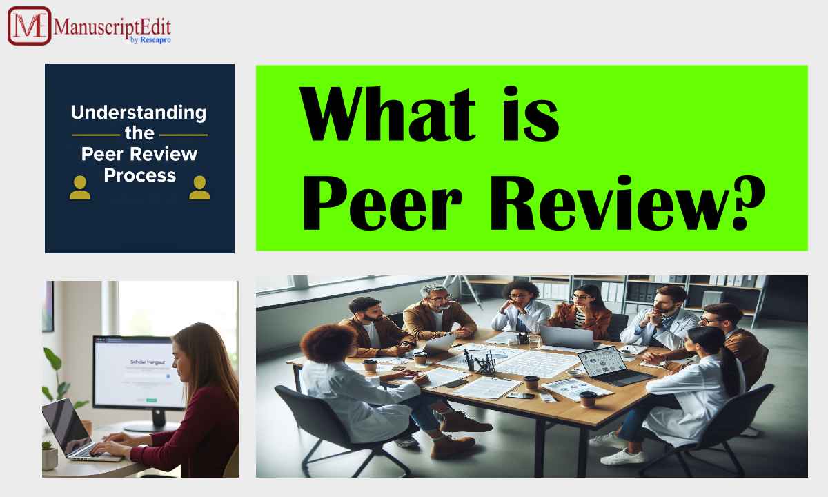 what is peer review